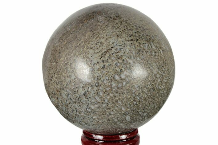 Polished Agatized Dinosaur (Gembone) Sphere - Morocco #189814